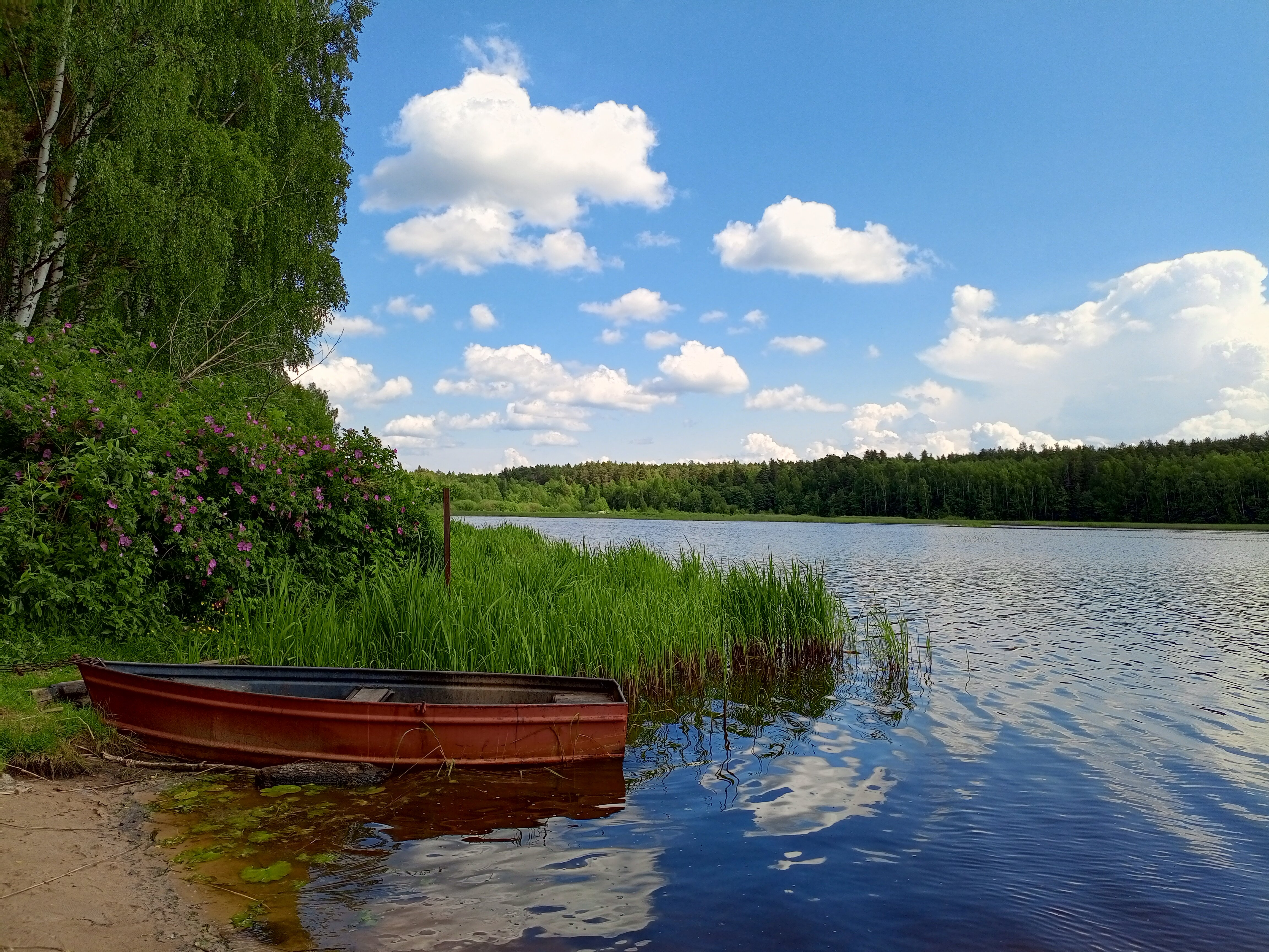 Фото Усадьба Волжское лесничество