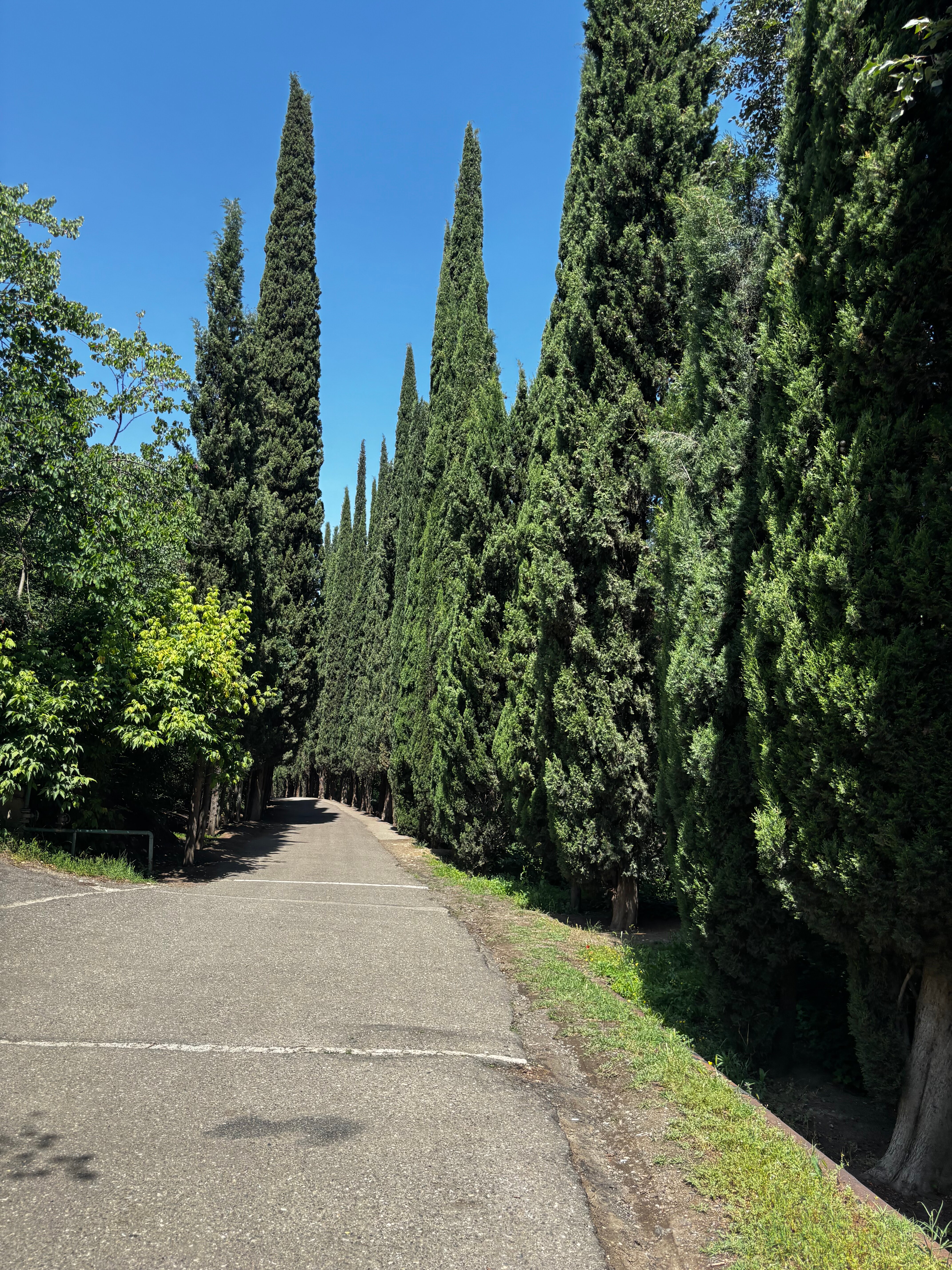 Фото Tbilisi Inn