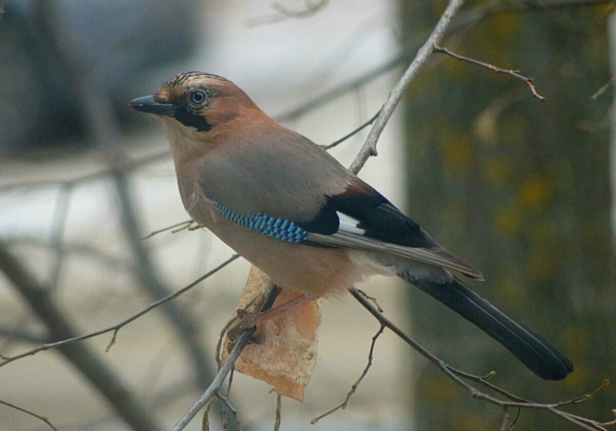 Фото В Тарках