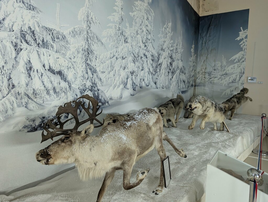 Exhibition hall Выставка Животный мир прошлого и настоящего, Strunino, photo