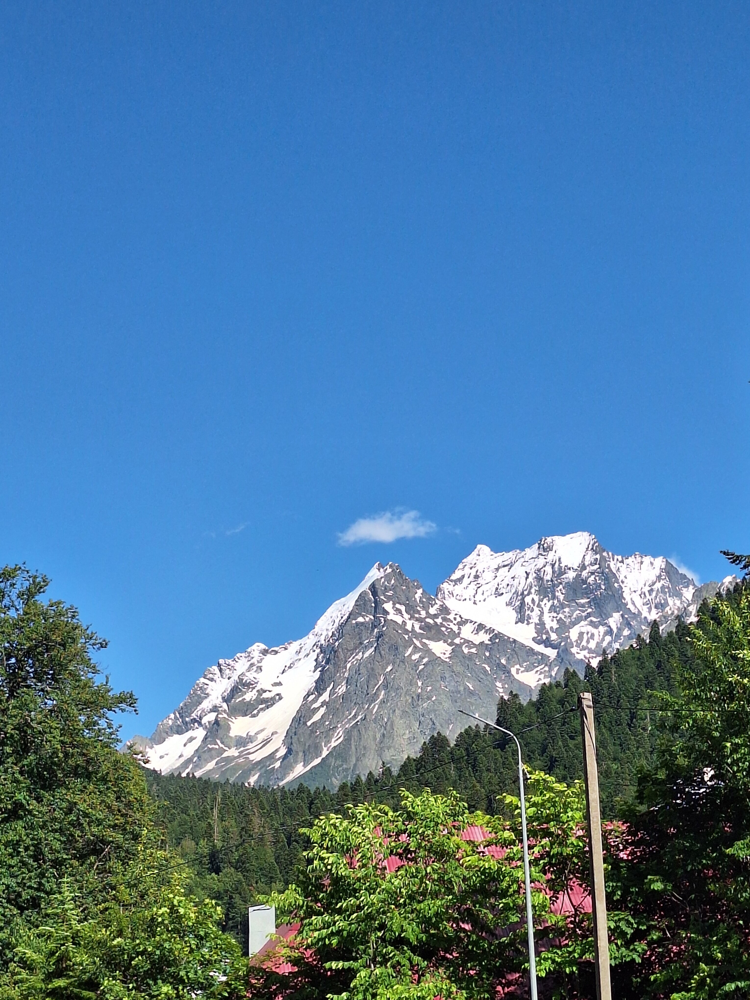 Фото Forest glamp