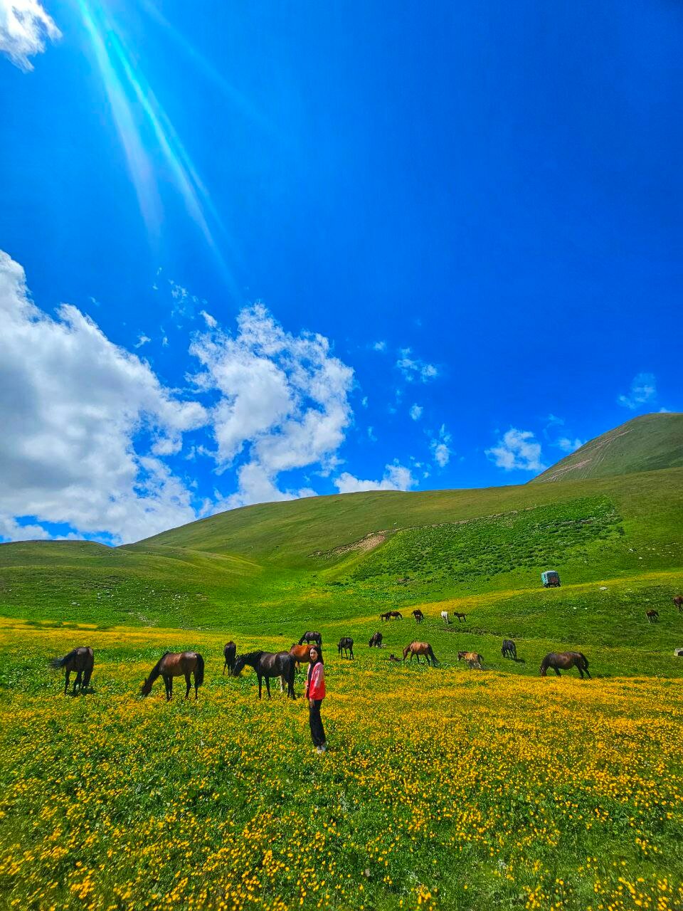 Фото Why Not Relax