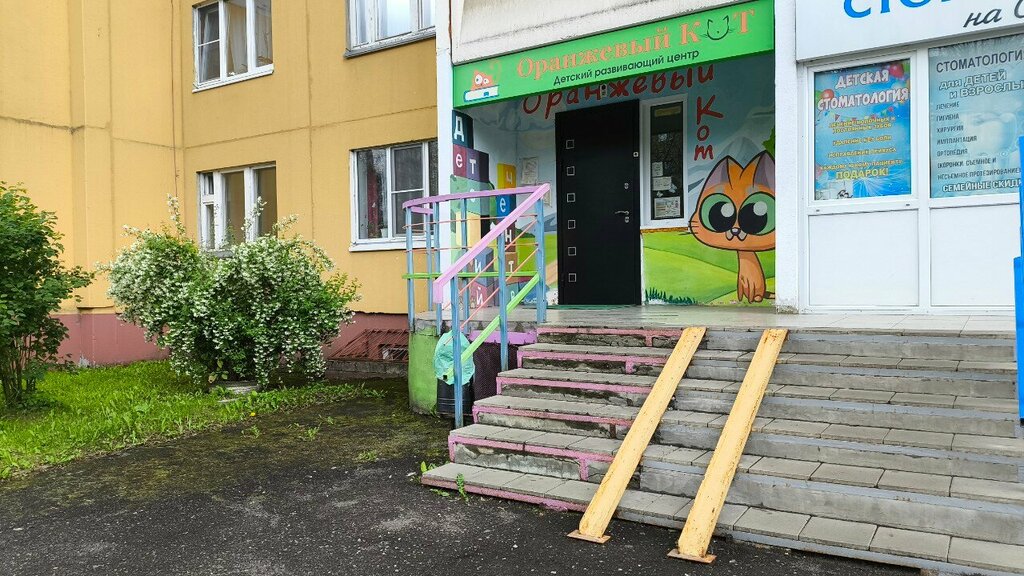 Children's developmental center Oranzhevy kot, Yaroslavl, photo