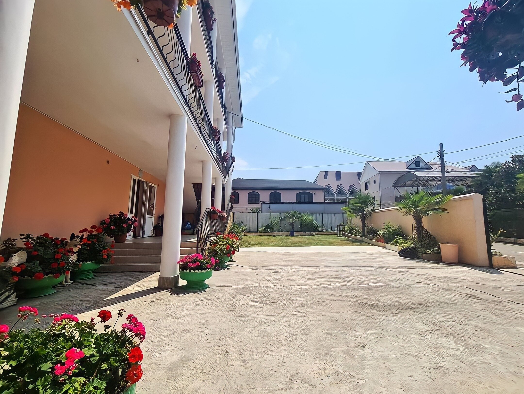 Фото Эмилия