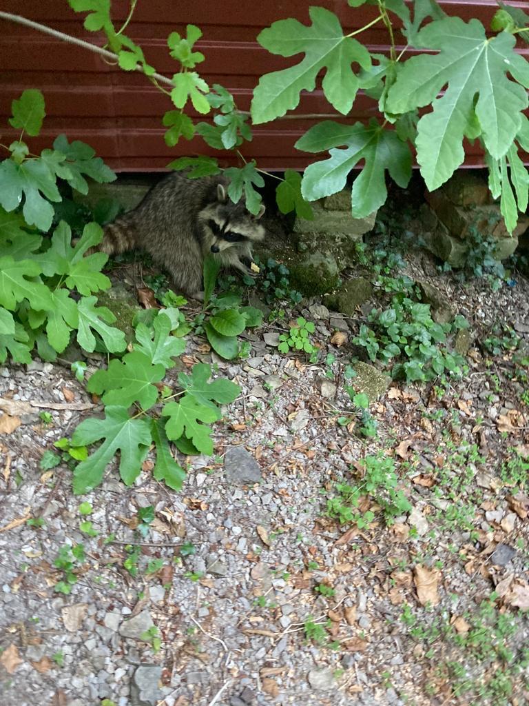 Фото ГК Эдем