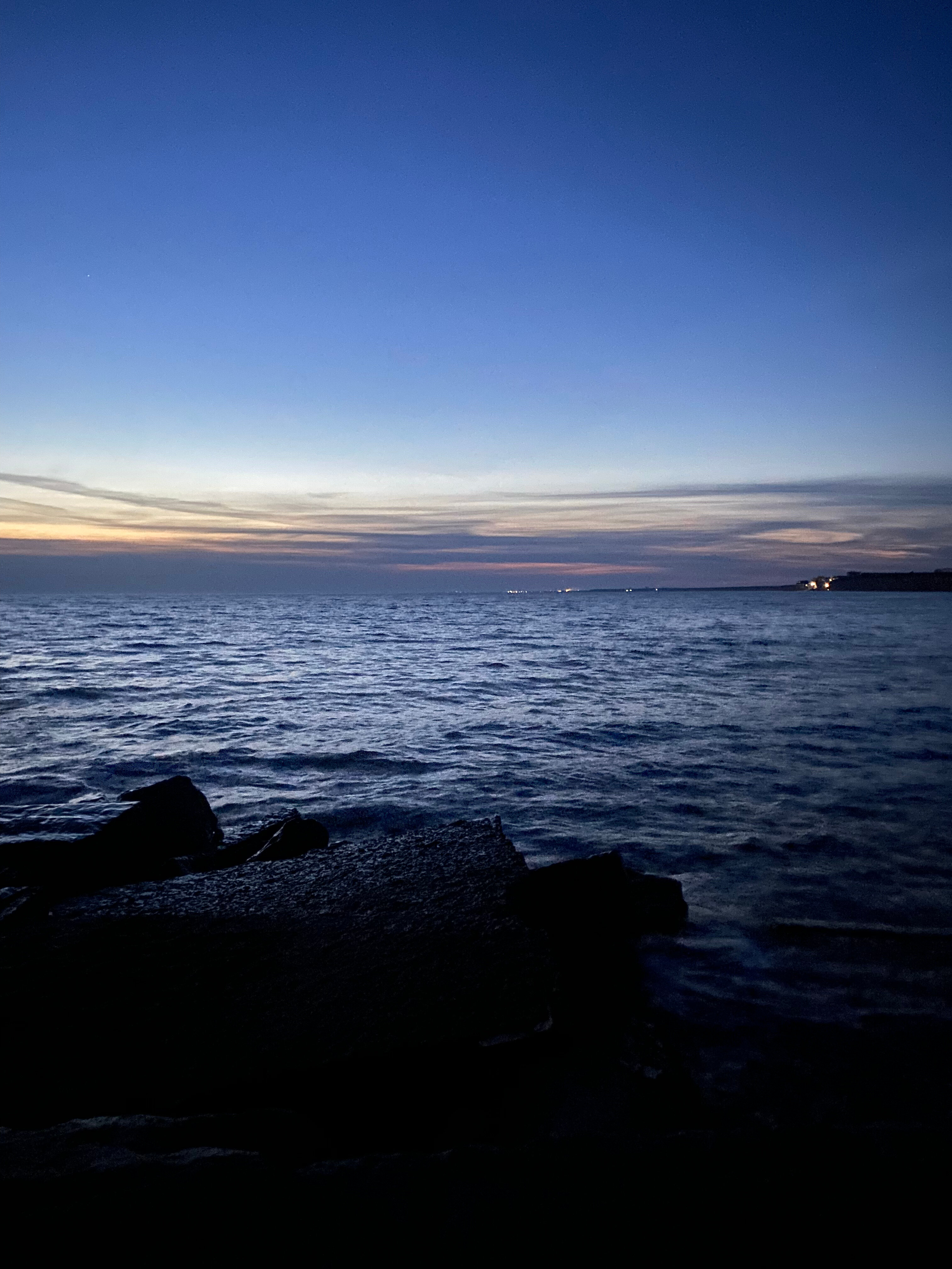 Фото Белый Лев