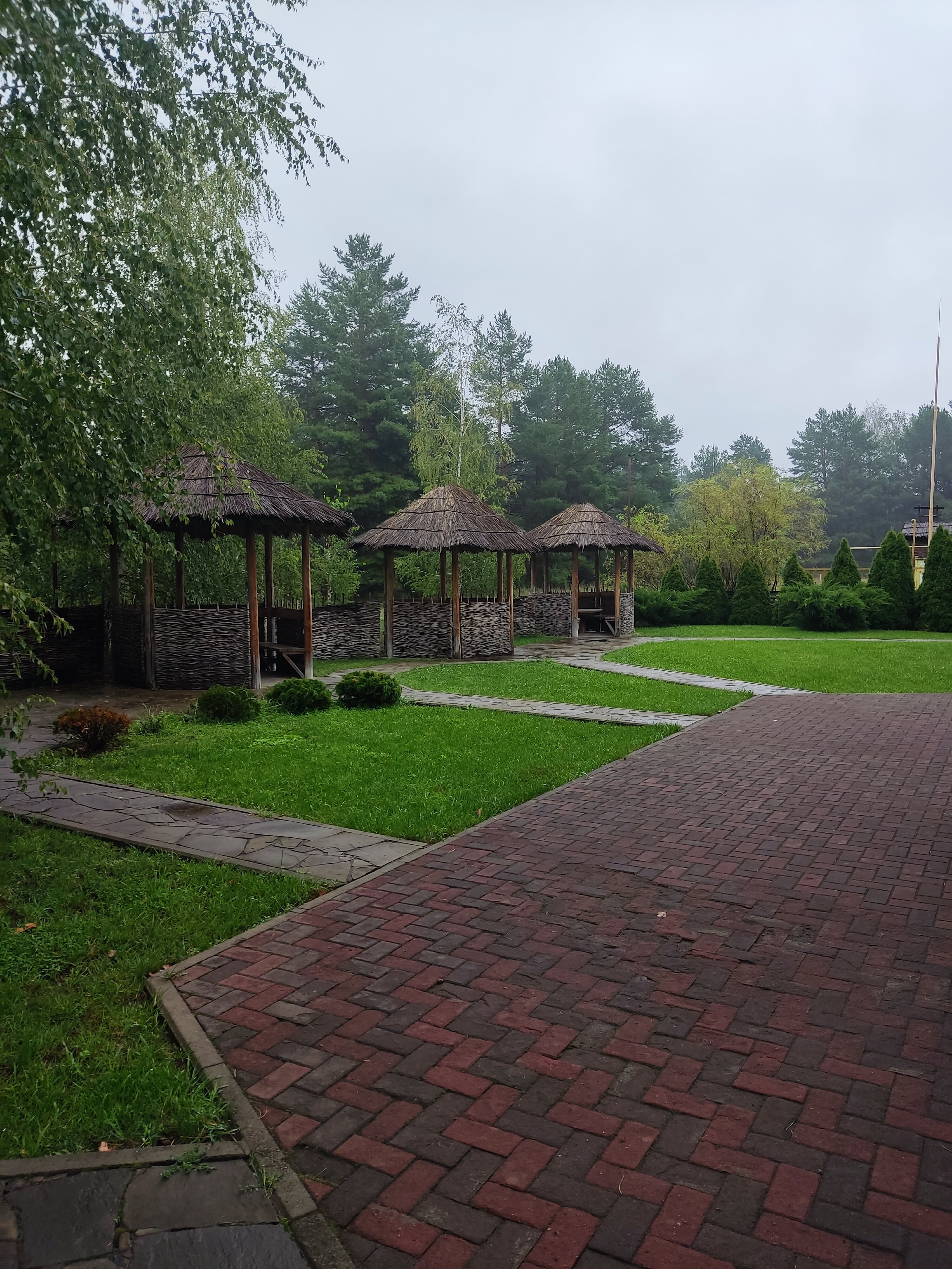 Фото Лесная