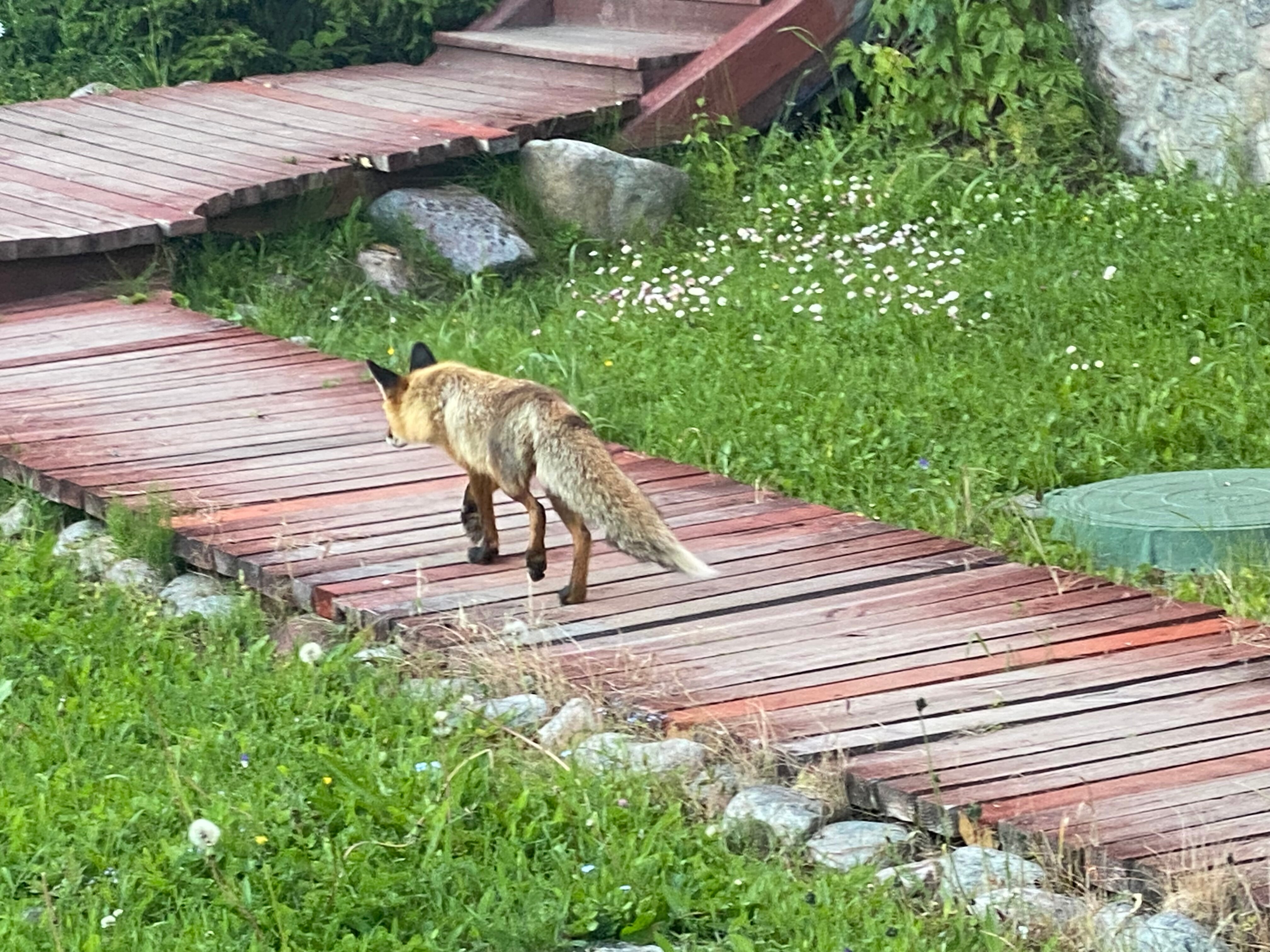 Фото Соловки Отель