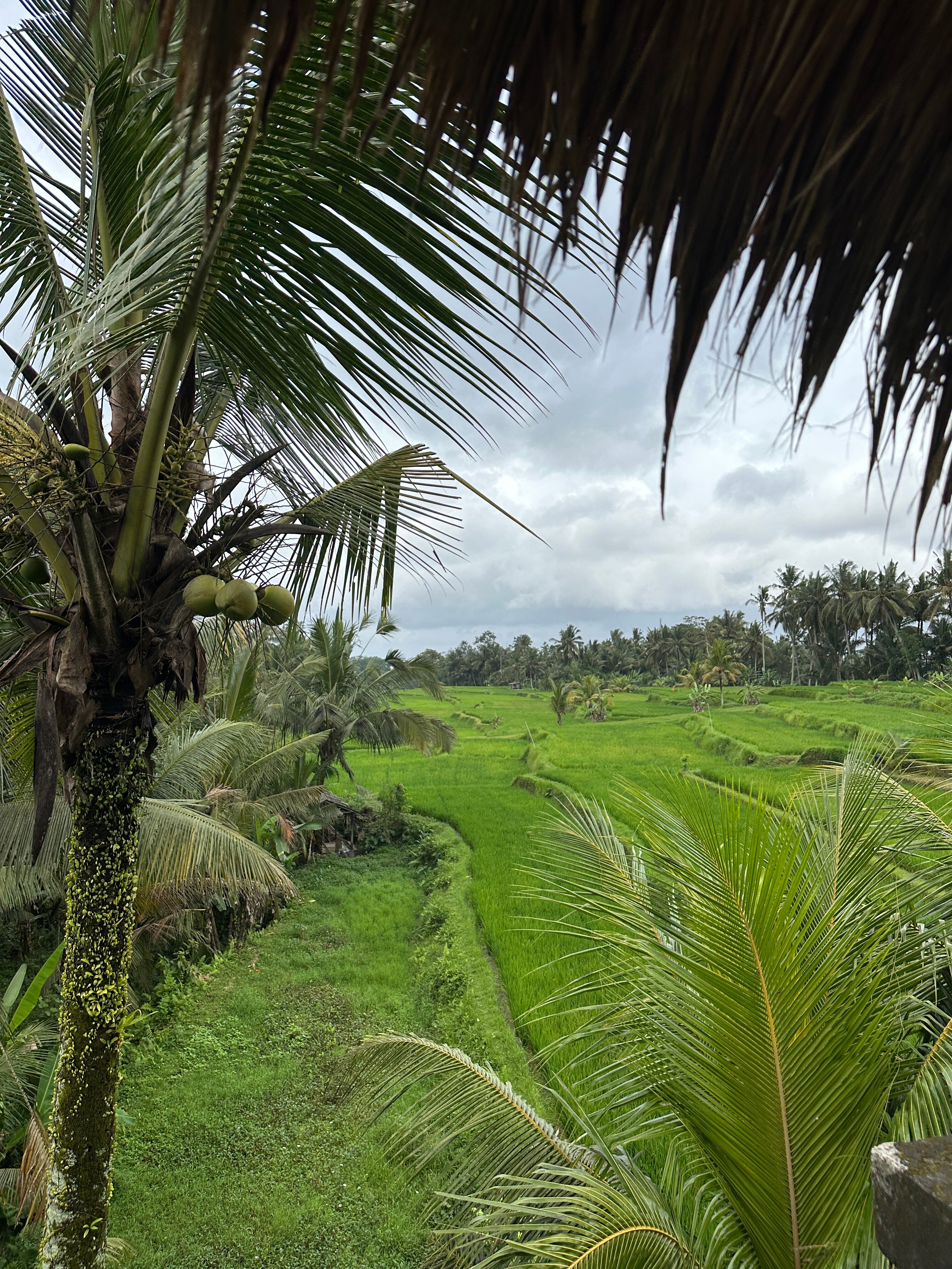 Фото Kenran Resort Ubud