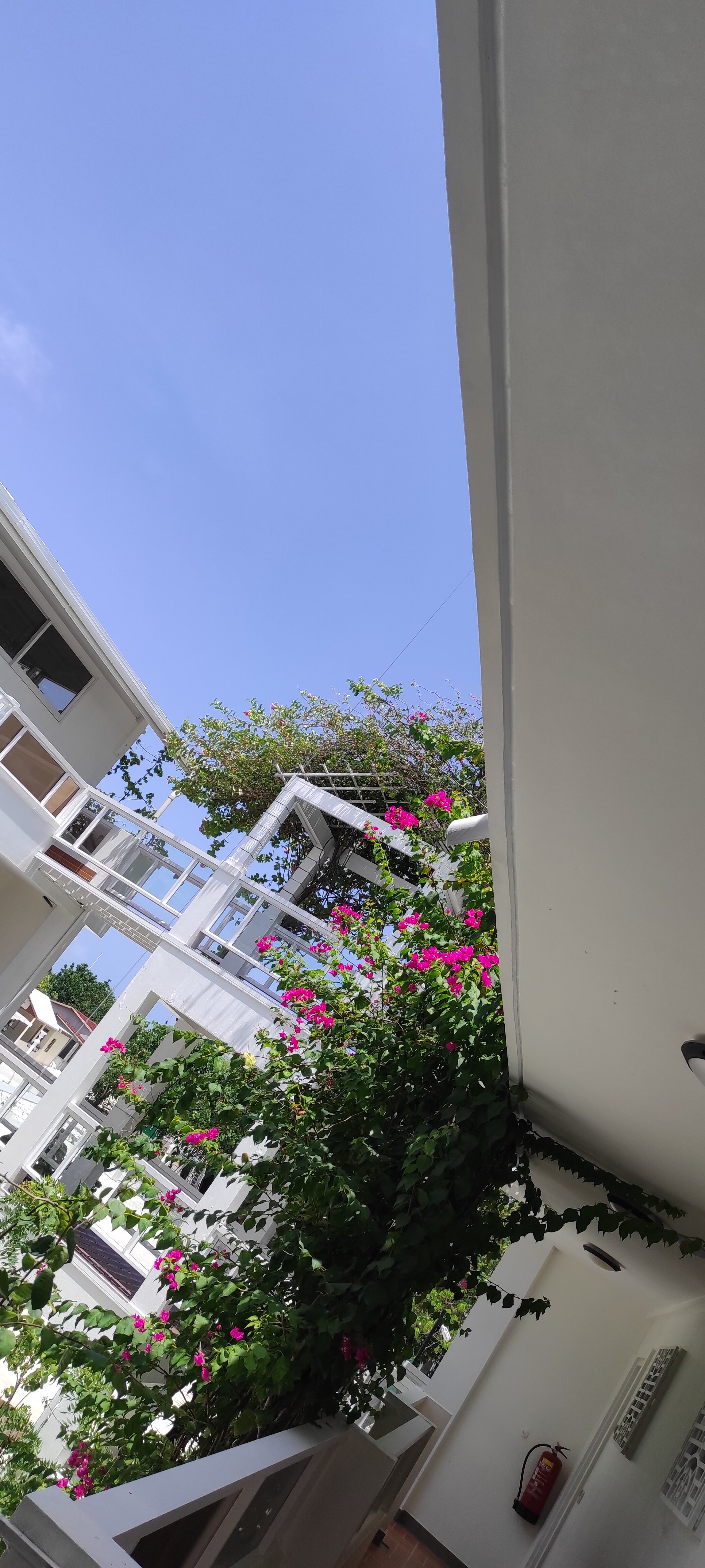 Фото Rashu Hiyaa