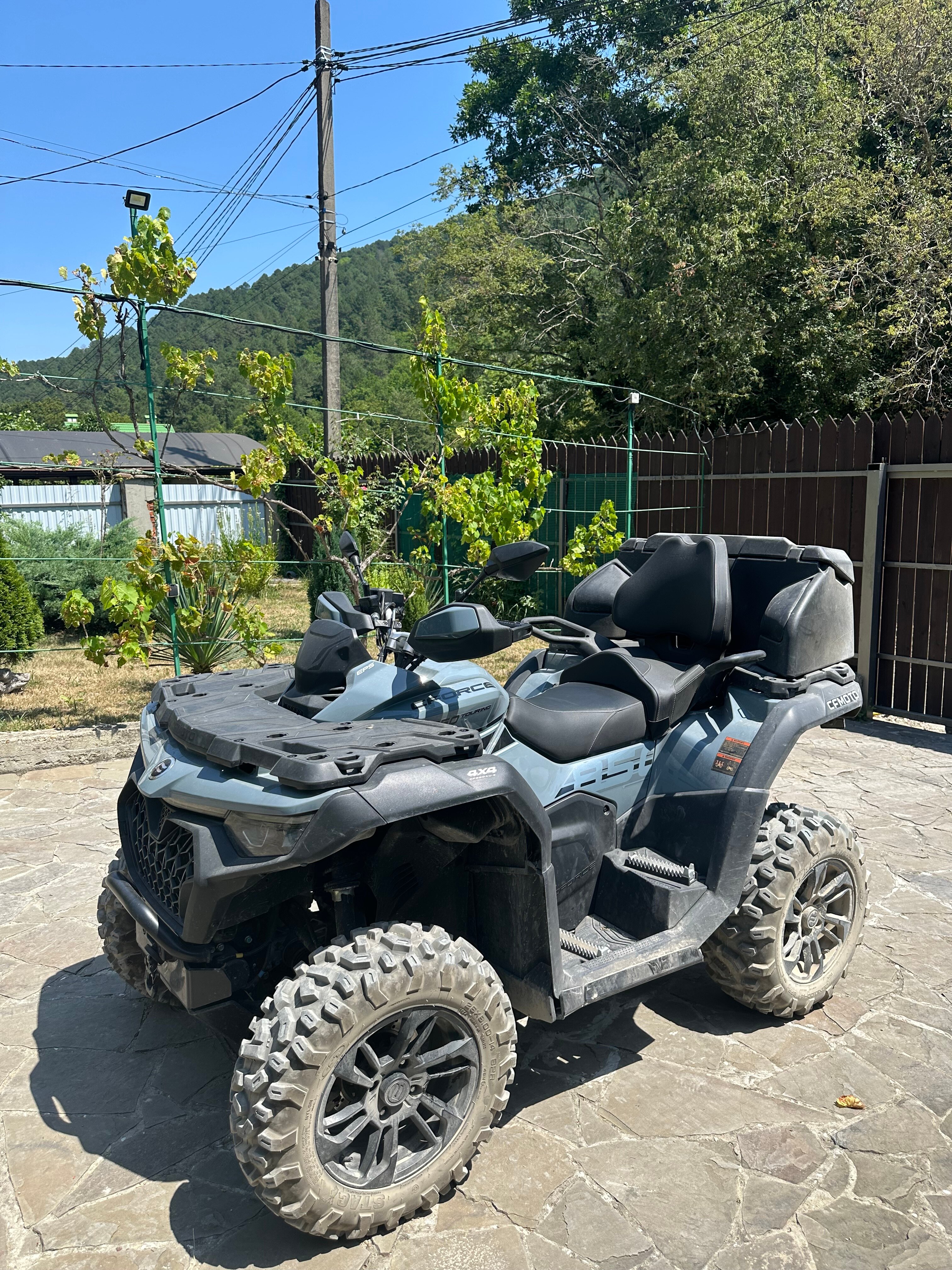 Фото Лесной домик Ель