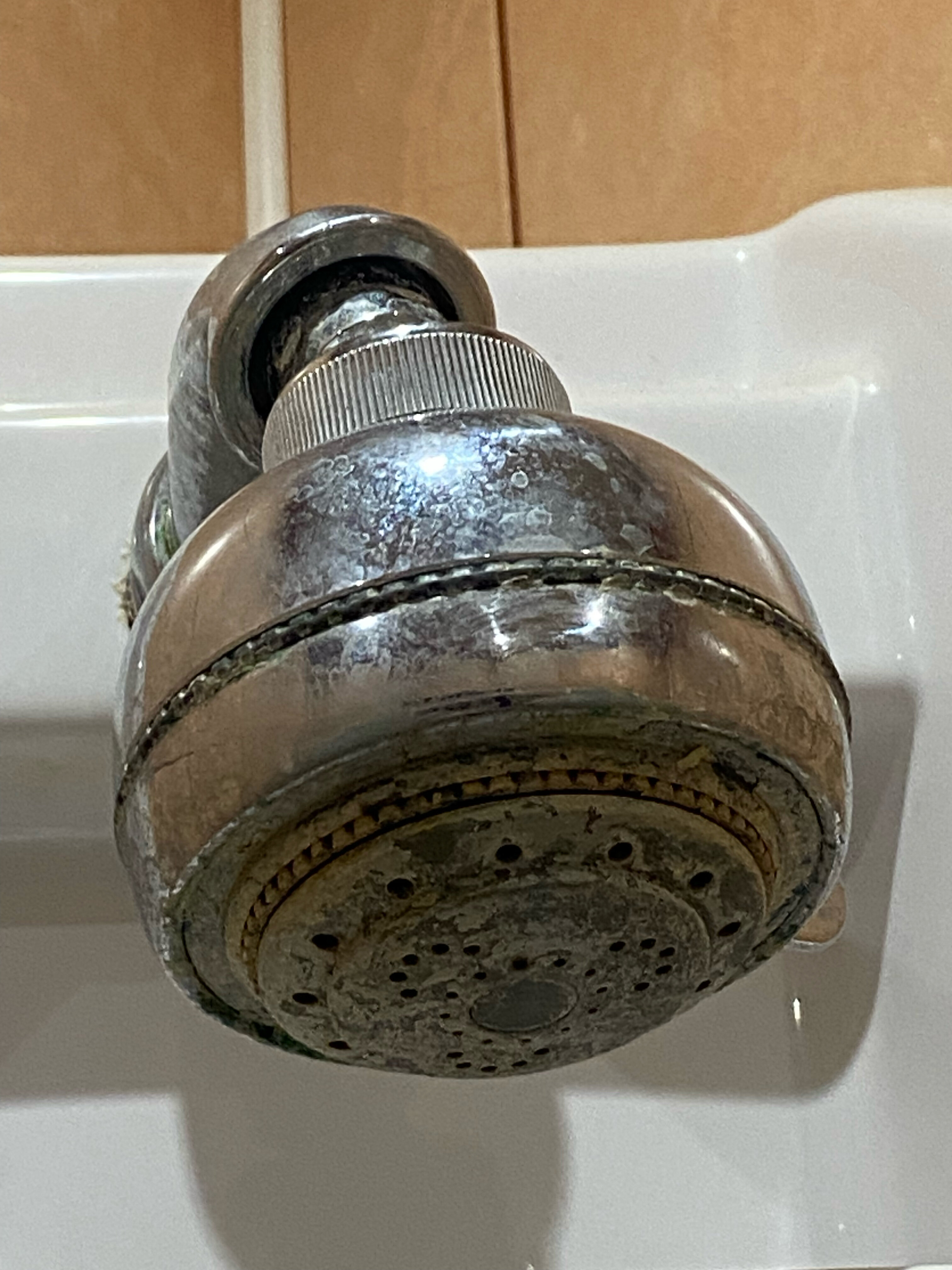 Фото Триумф