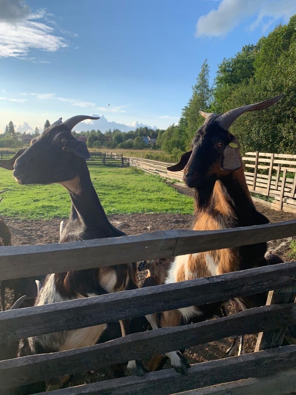 Фото Зюзино