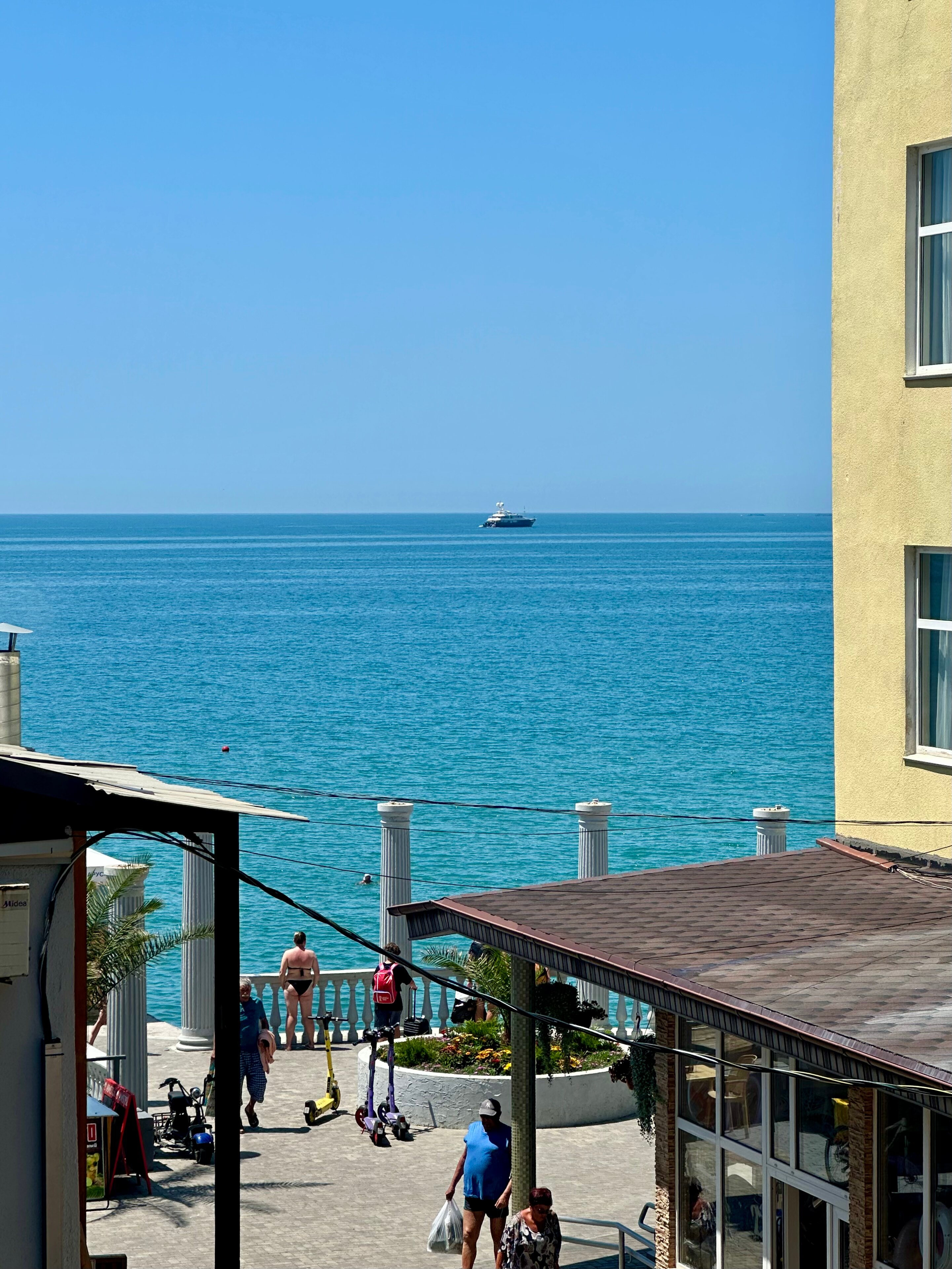 Фото Дельфин