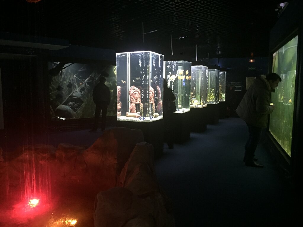 Океанариум волгоград пушкинская карта