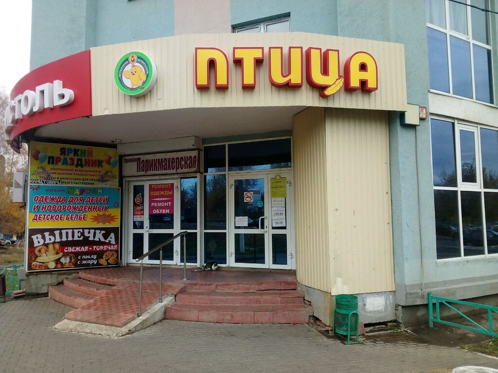 Магазин Птица 5
