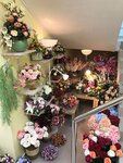 Babochka (Biryulyovskaya Street, 5к1), flower shop