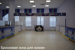 Ice Arena named after N. A. Petruseva (Pavlovskiy Posad, Bolshaya Pokrovskaya ulitsa, 60В), sports center