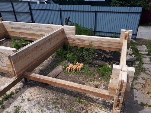 Орыс шошқалары бар порно