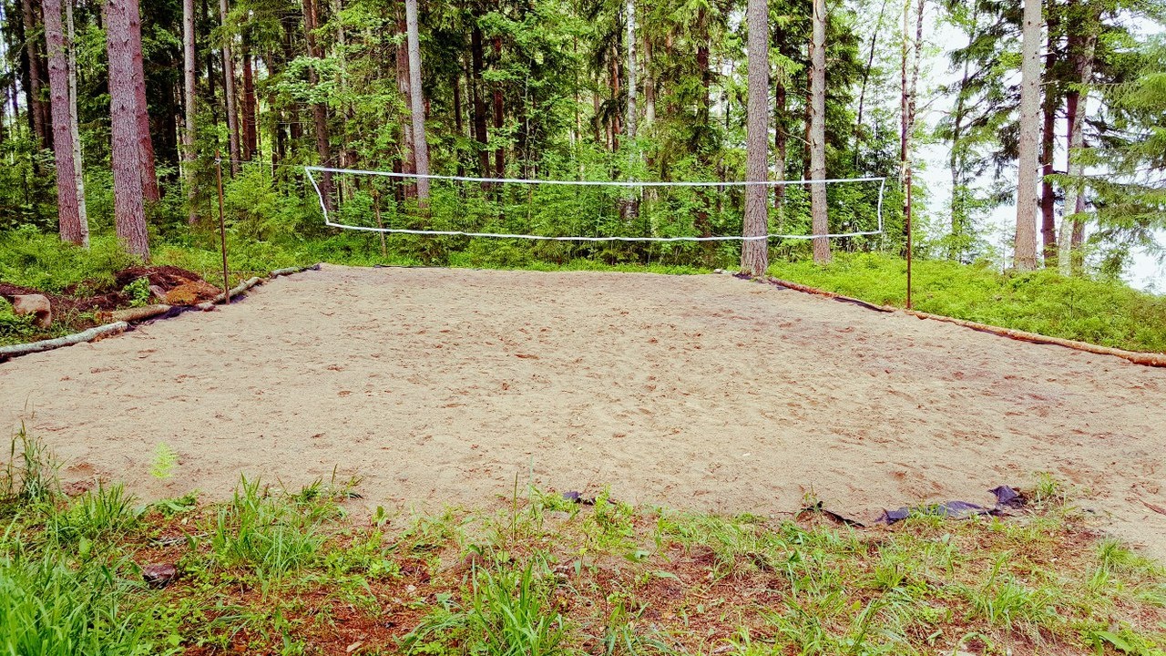 Фото Черная лиса