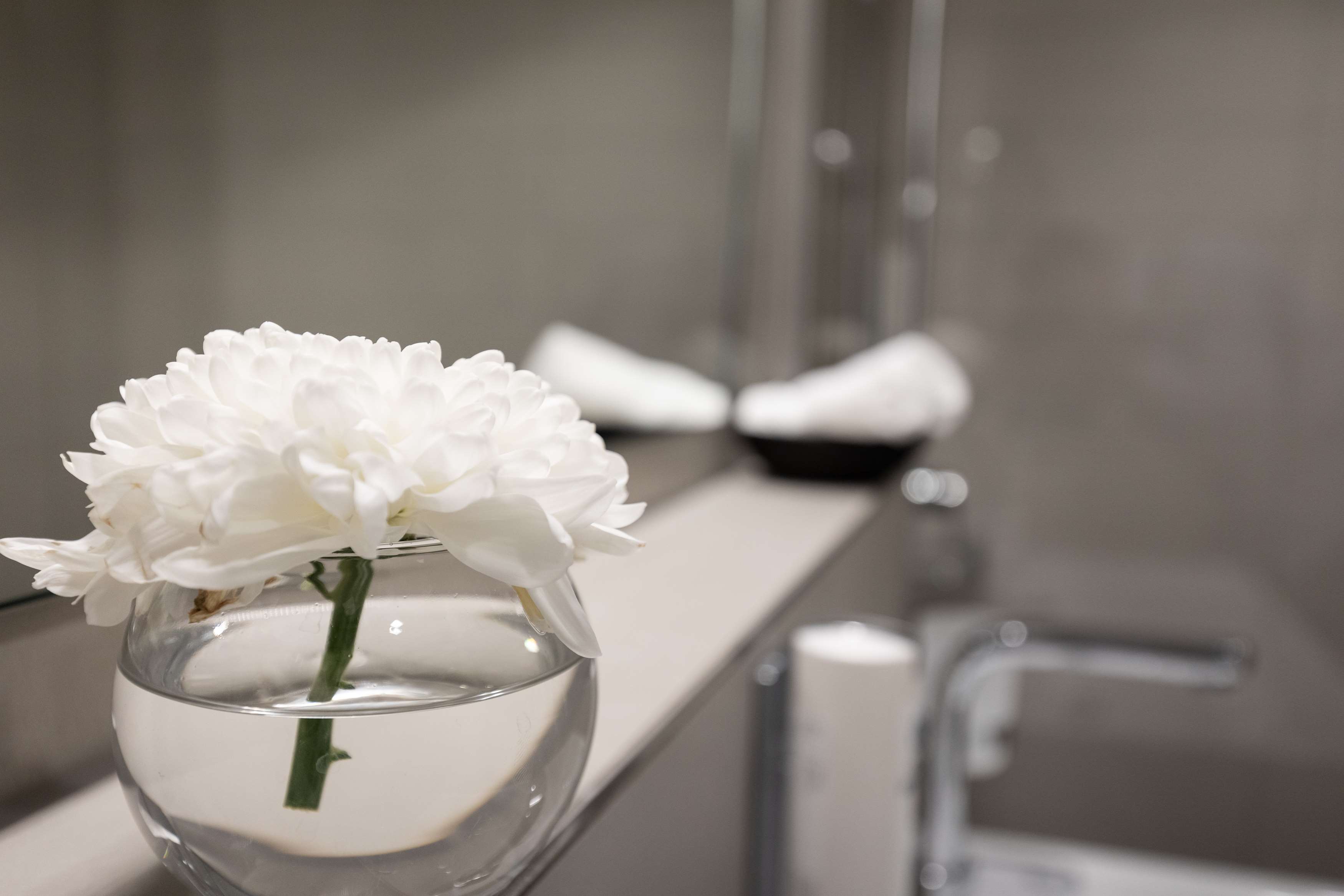 Фото Hotel Spirgarten