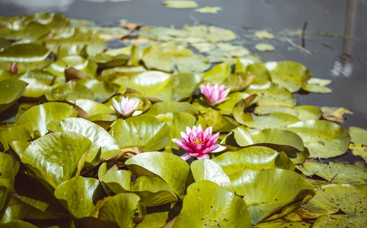 Фото Заозерье