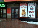 Лапочки (prospekt Lenina, 101), pet shop