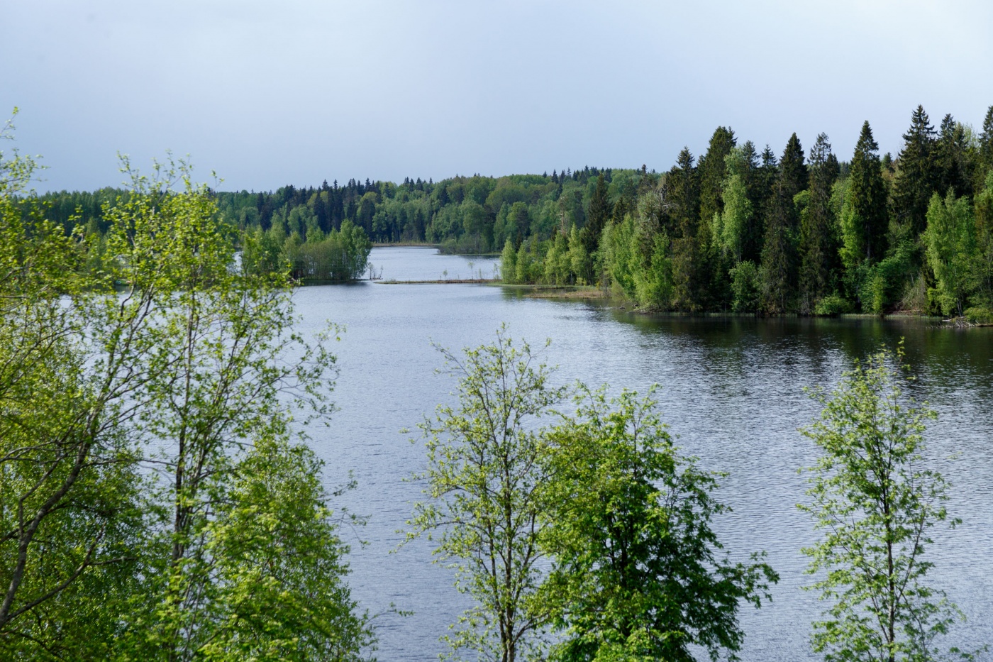 Фото Дома для отдыха Ватцы