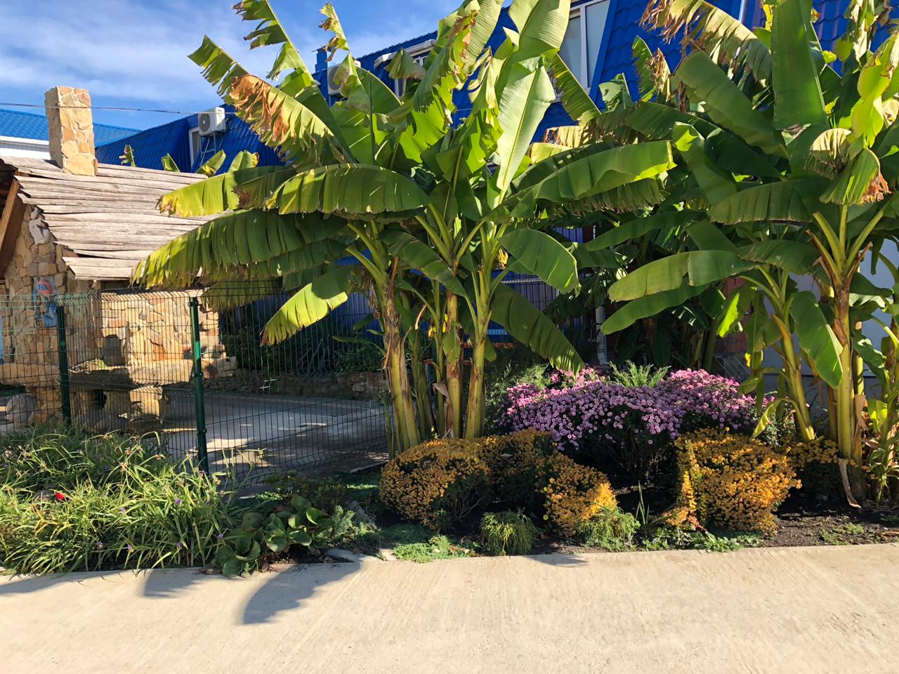 Фото Аква-Вита