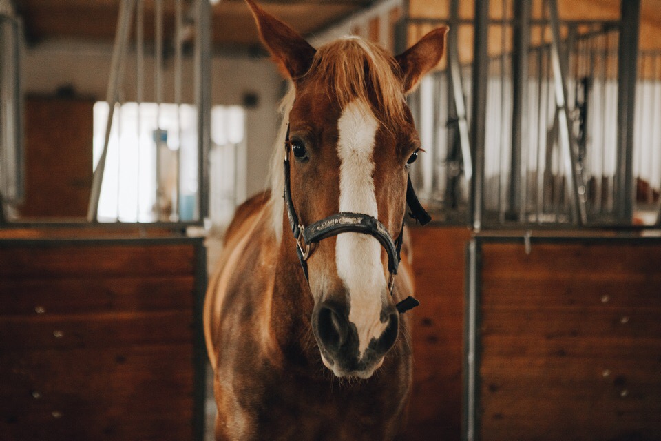 Фото ЭкоРест