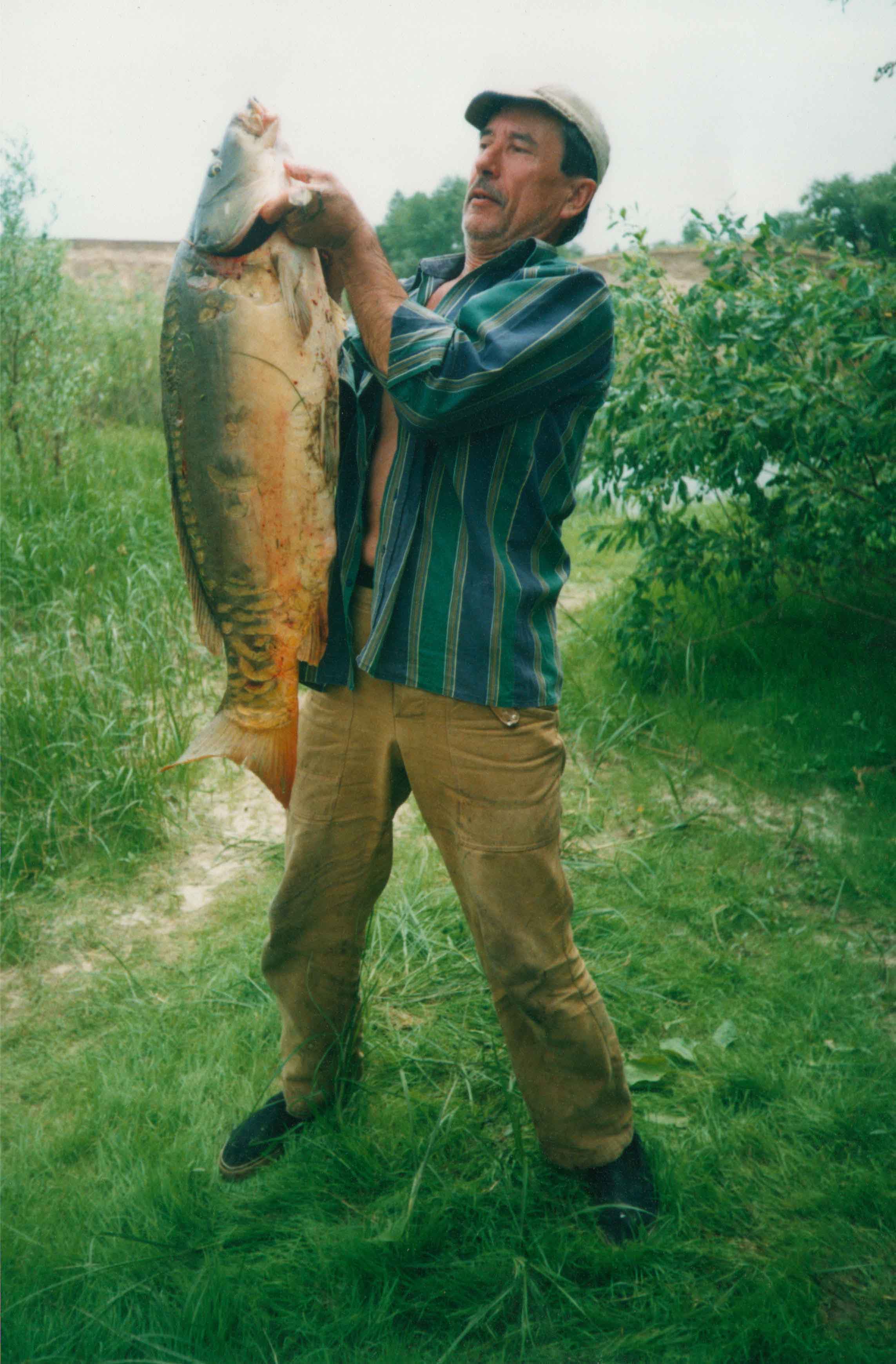 Фото Лесная