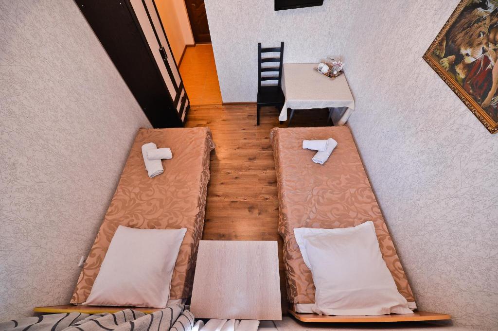 Фото Алексис