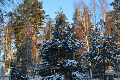 Дом отдыха Вуокса-хутор в Ленинградской области