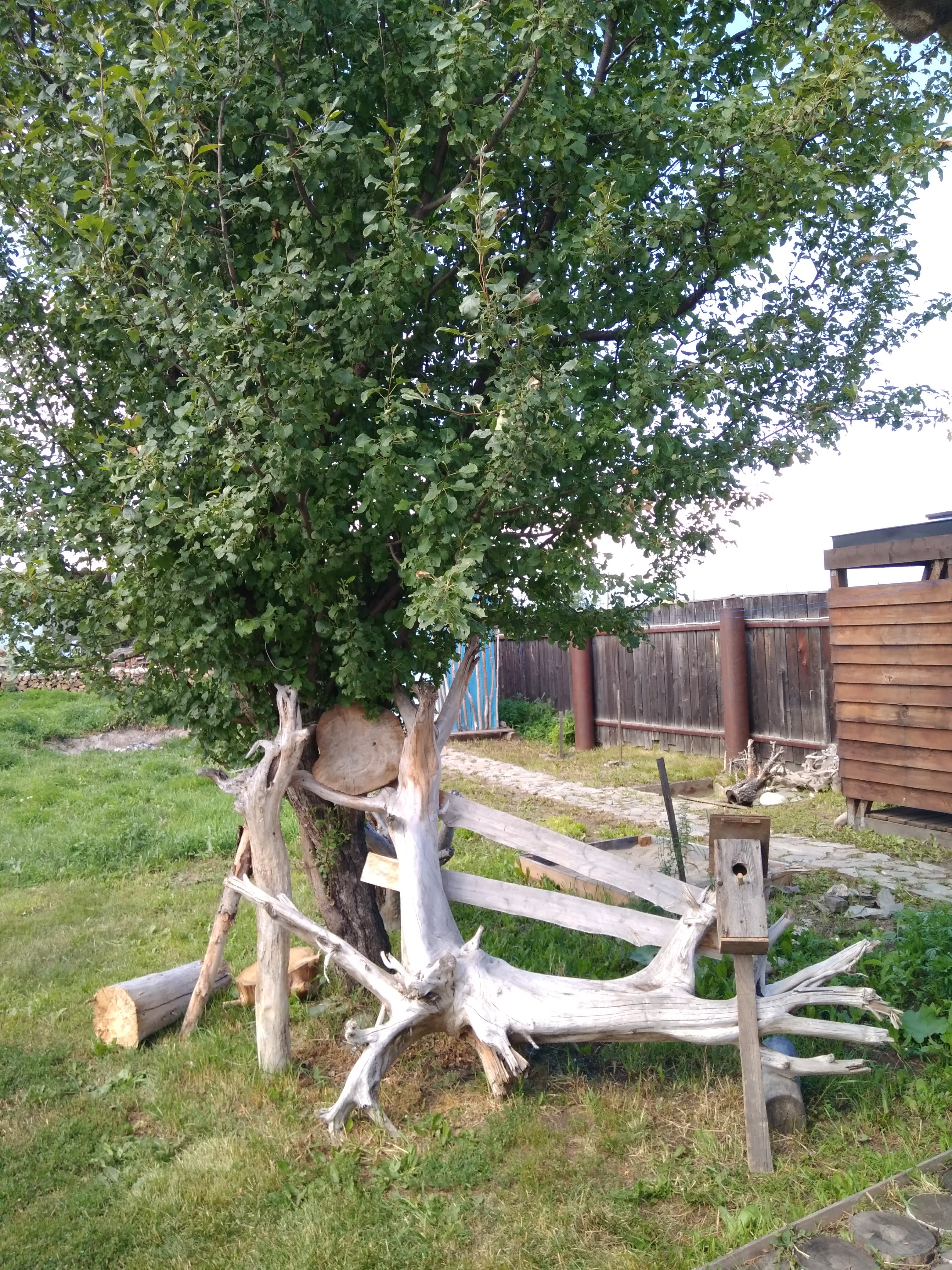 Фото Мульта-Центр