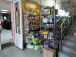 Семена (Bryansk, ulitsa Romashina, 32), tienda de semillas