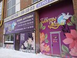 Cvetu mira (Kommunarov Street, 244) ، محل زهور