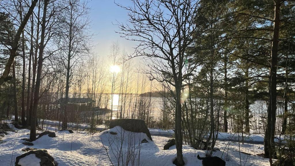 Фото Фрегат