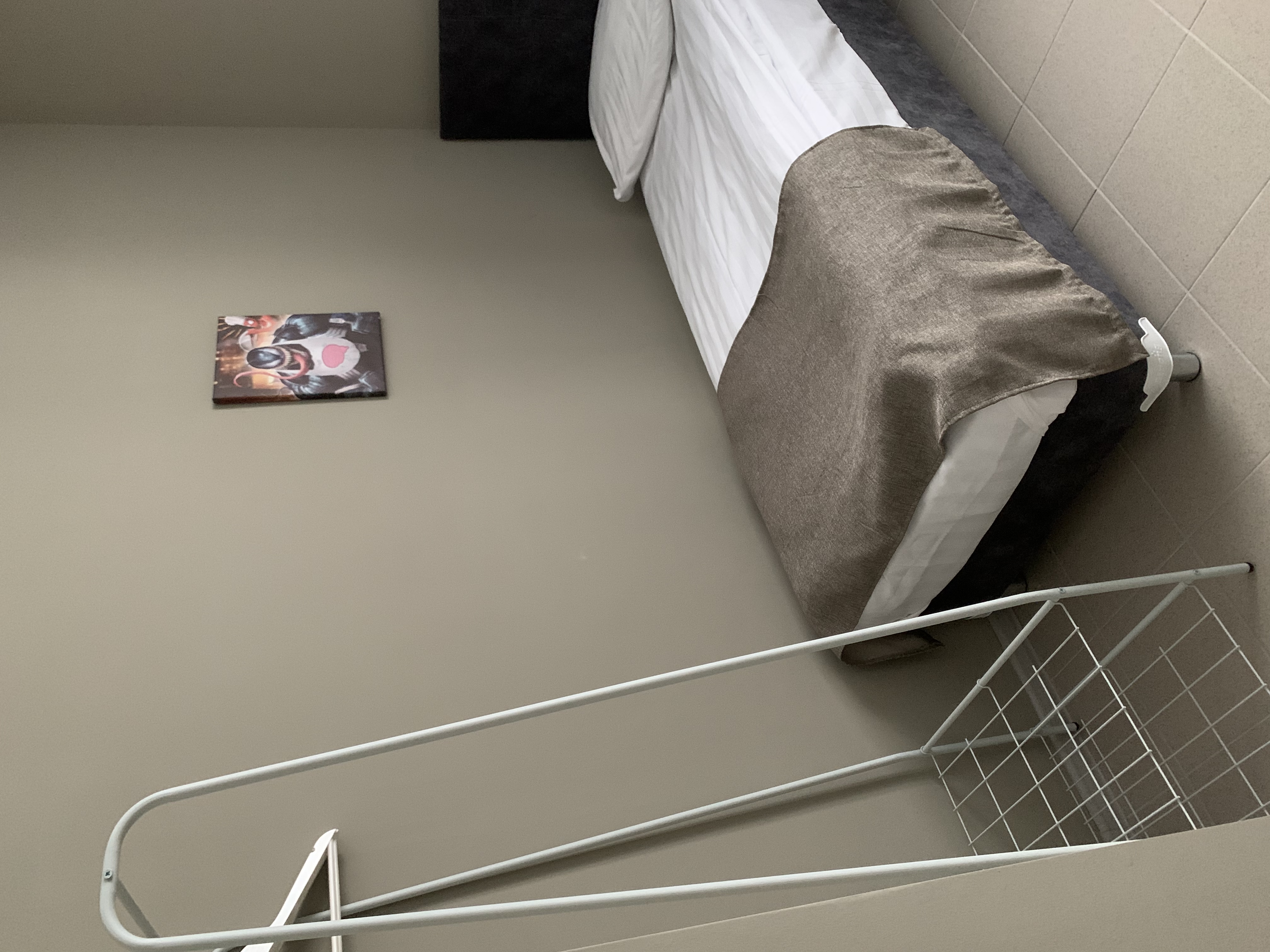 Фото Симбиот