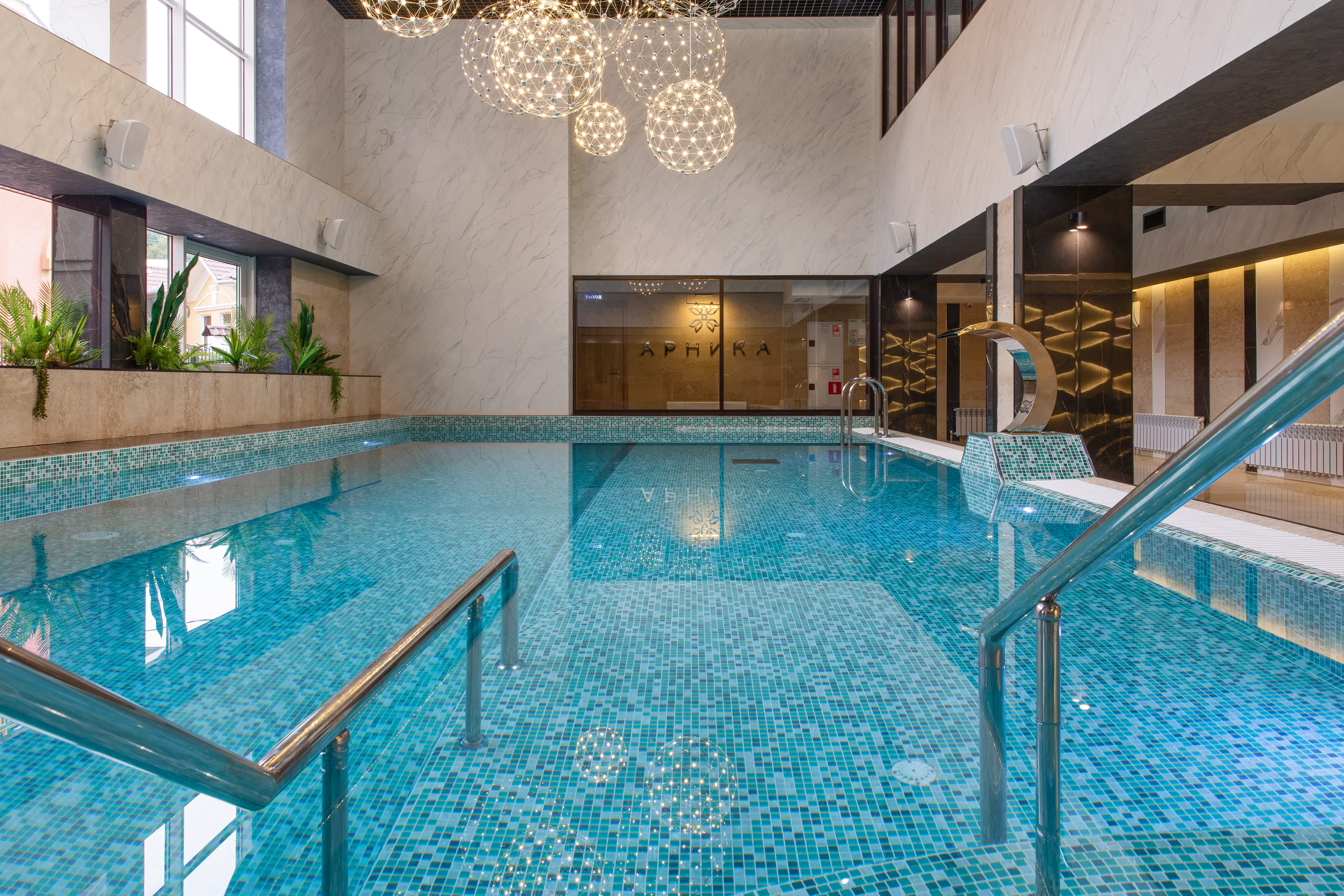 Фото Арника