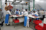 A7 Agro - Pererabotka (Kavkazskaya ulitsa, 2), food manufacturers