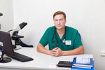 New Vet (gorodskoy posyolok Novoselye, Piterskiy prospekt, 5), clínica veterinaria