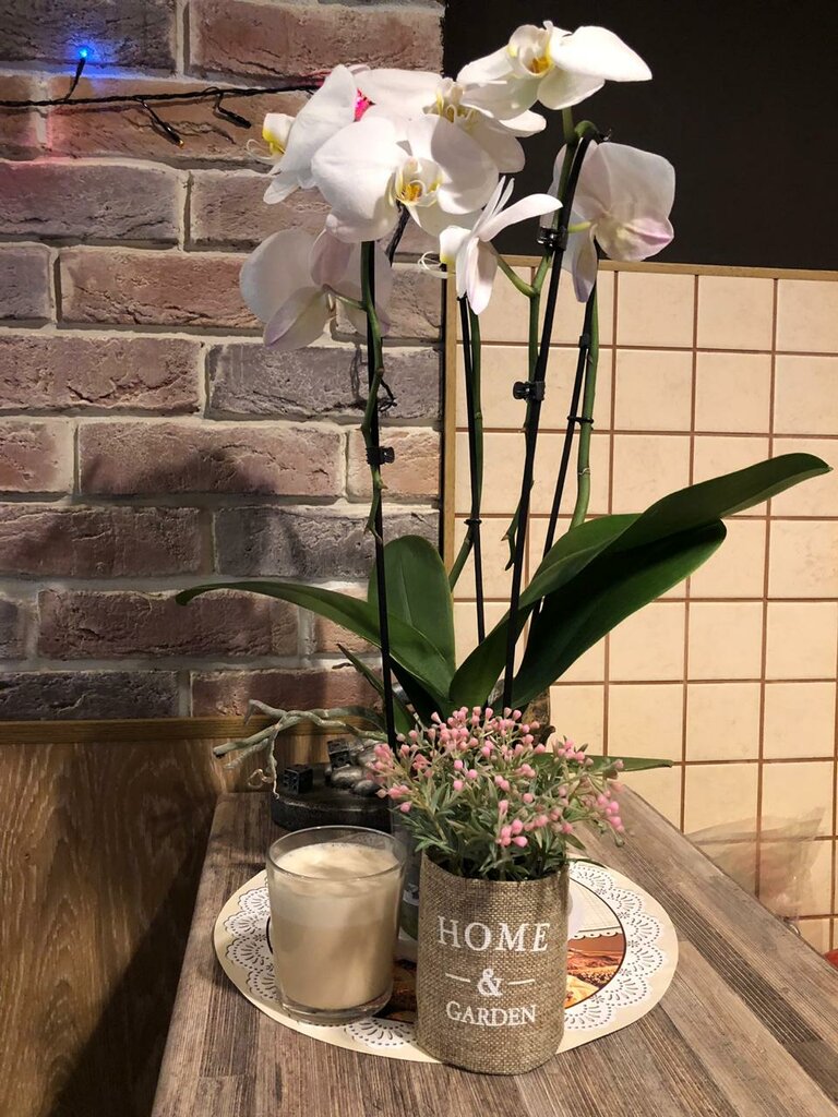 Coffee shop Coffee Garden, Korolev, photo