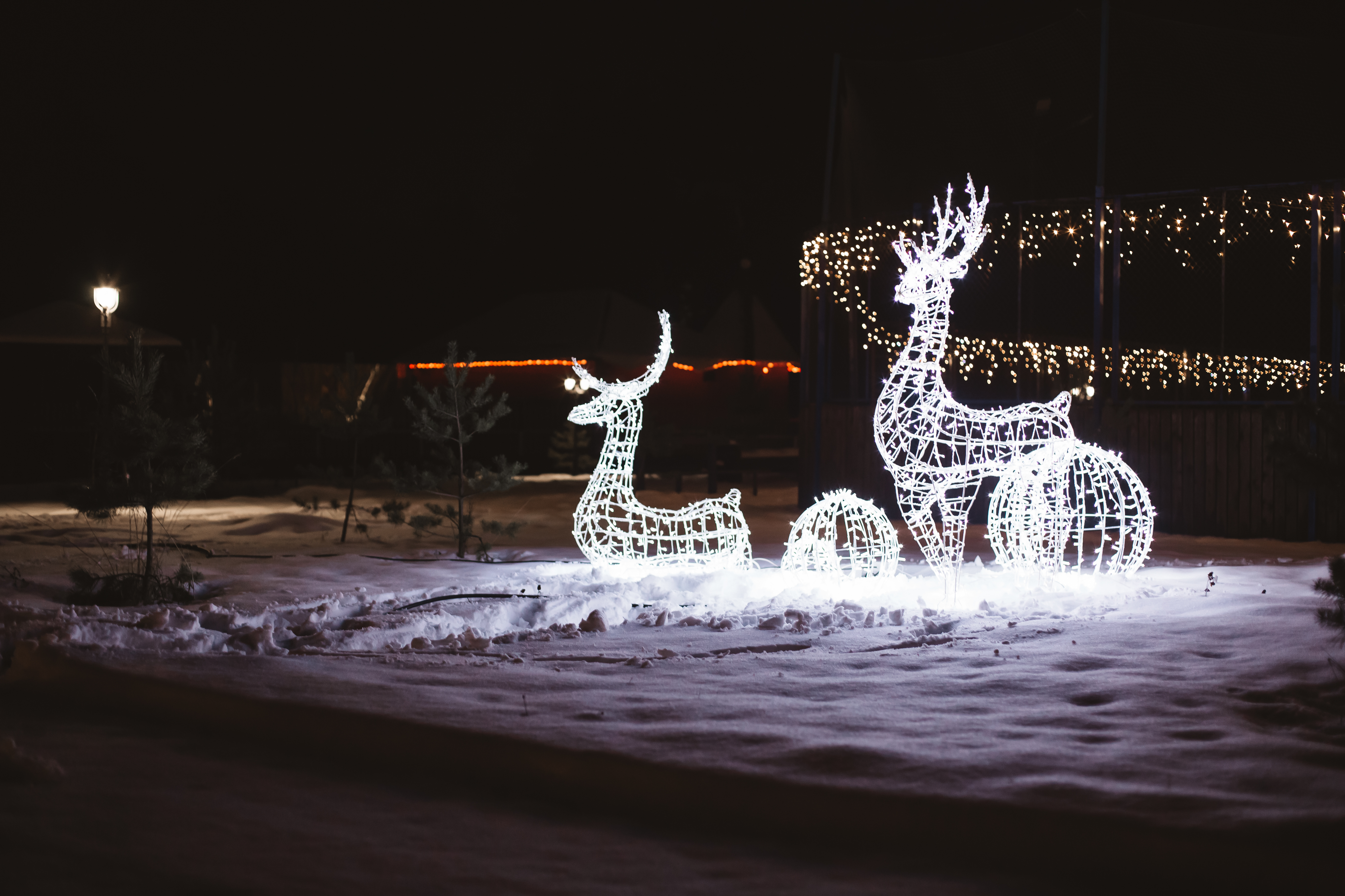 Фото Лазурный берег на Оке