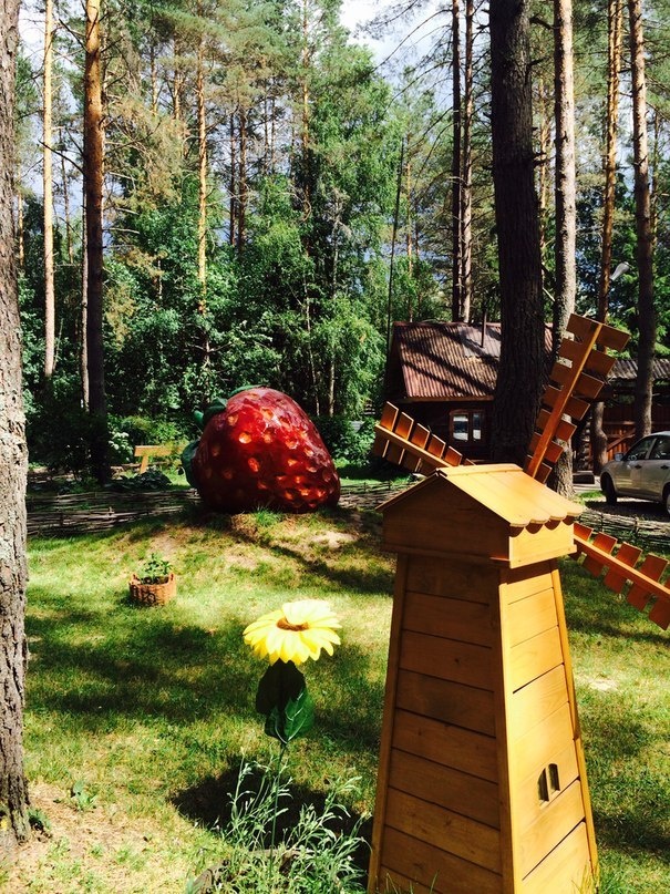 Фото Ягодная деревушка