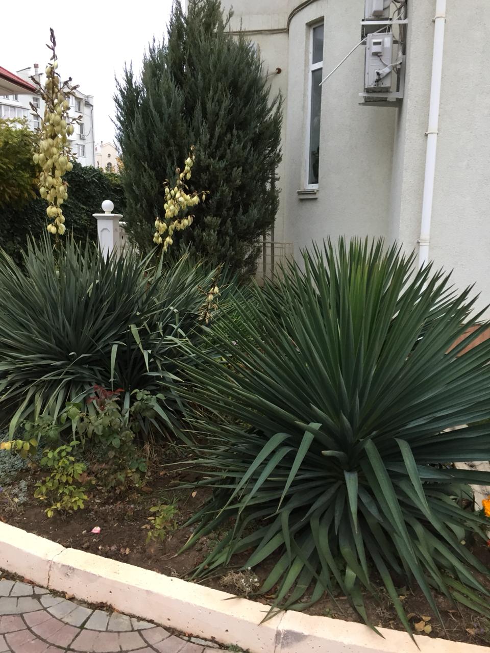 Фото Атриум