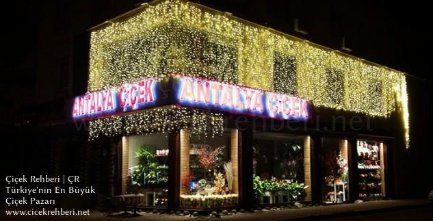 Antalya Floriculture