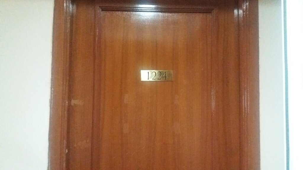 E-commerce payment system Websum, Tashkent, photo