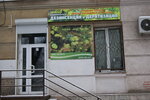 Gigiena-S (Fizkulturnaya Street, 94), disinfection, disinsection, deratization