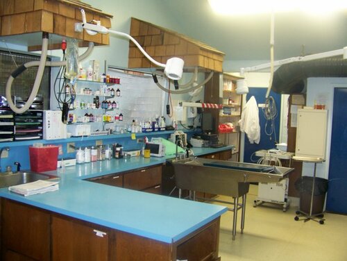 Greenhaven 2025 animal hospital