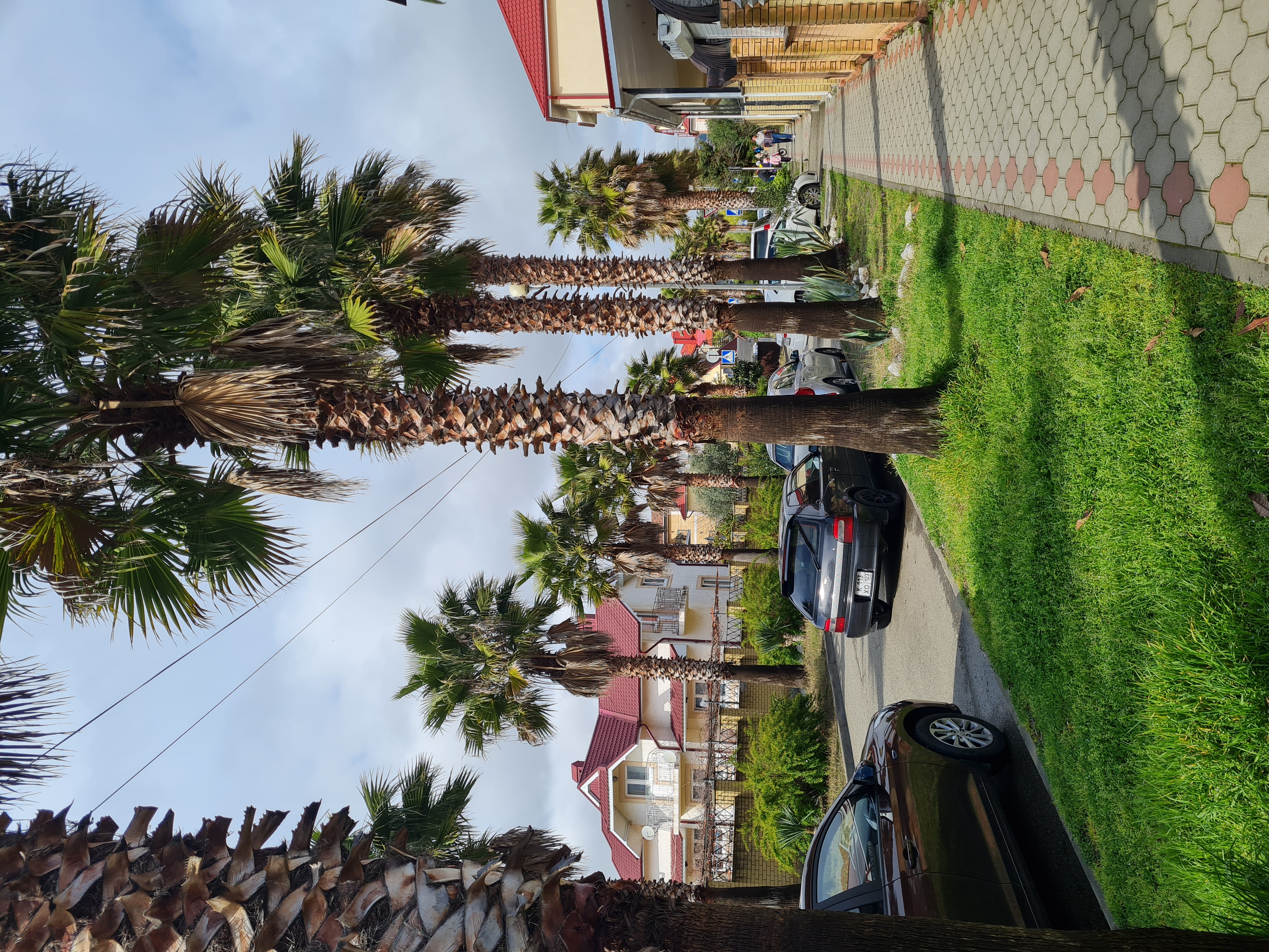 Фото Адмирал